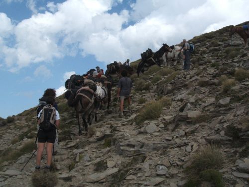 trekking con i muli-95.JPG